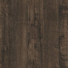 Дуб Бунратти