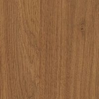 Дуб Кендалл