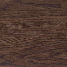 Дуб шоколад