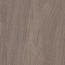 Дуб Верцаска Латте