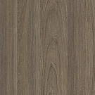 Вяз Благородный Темный