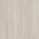 Акация Морава