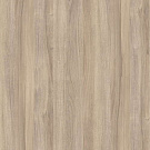 Вяз светлый