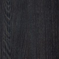 Дуб Кентербери