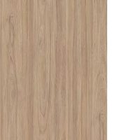 Вяз благородный / Белый глянец