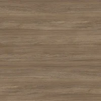 Дуб Аризона