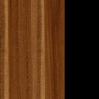 Слива Валлис-черный