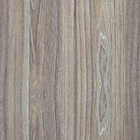 Вяз благородный