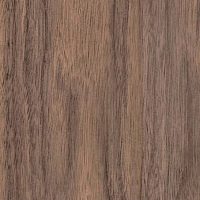 Орех Американский